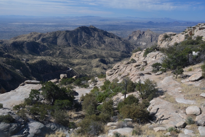 view from Windy Point